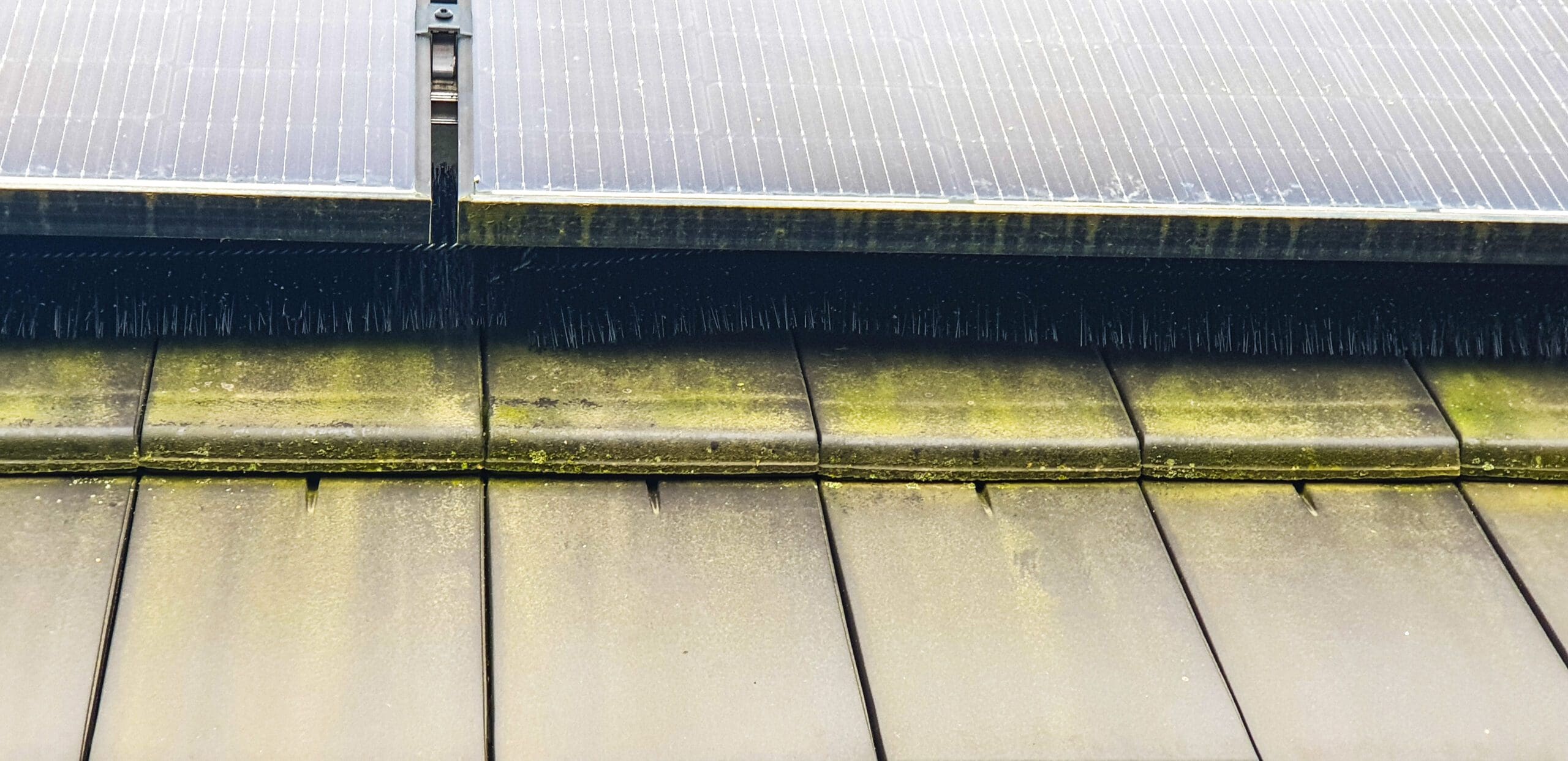 Photovoltaik-Bürste ⌀ 15 cm - Mardermittel