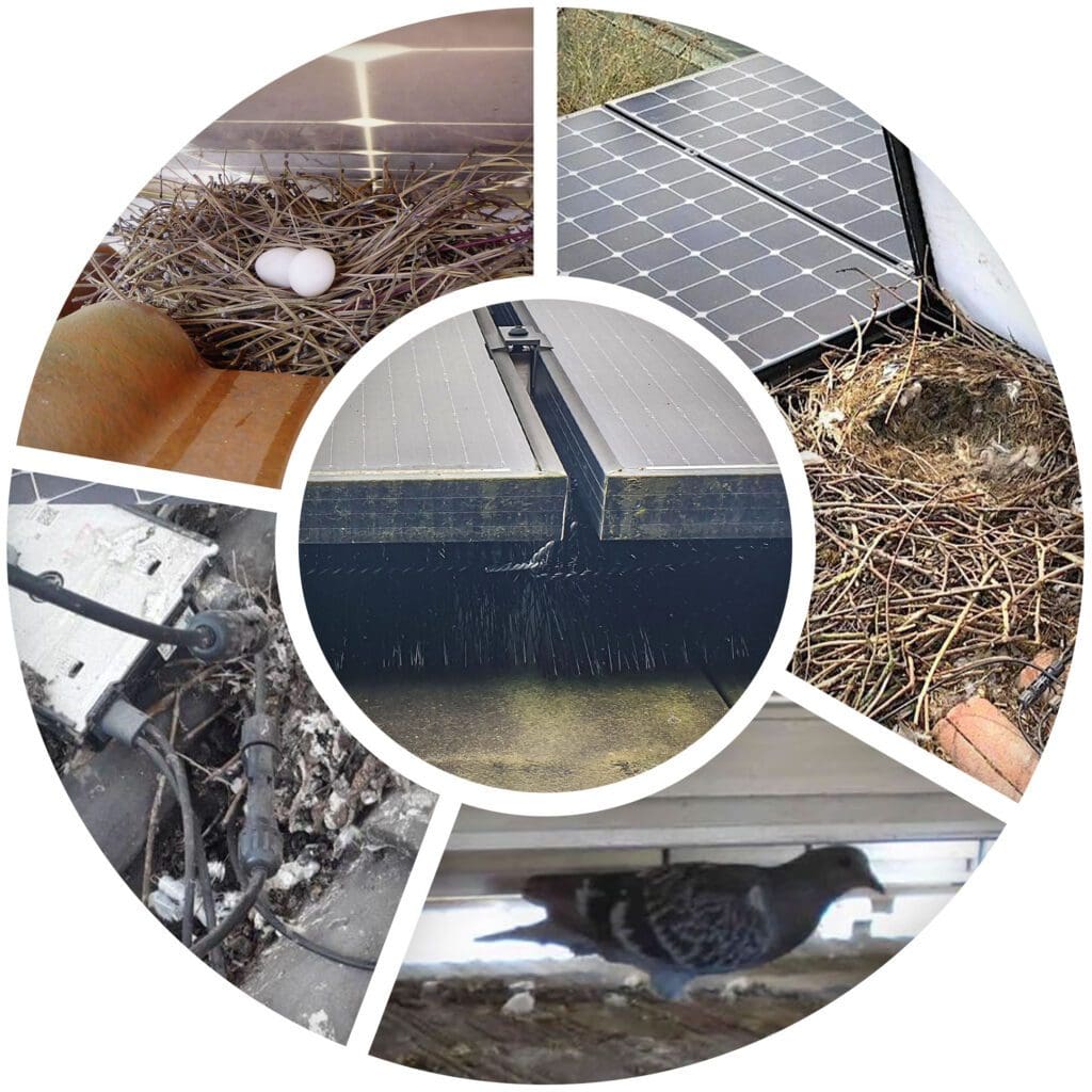 Bürste zum Schutz von Solaranlagen vor Marder, Nagern, Vögeln, 25